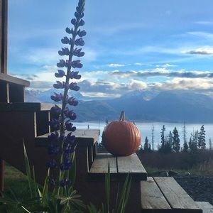 Meet your Posher, Holly